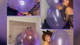 a kitten who is going to ride her giant rabbit