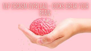 The NLP toolbox: NLP Orgasm Overload - Cocks Break Your Brain