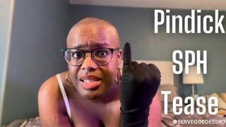 Pindick SPH Tease - Royal Ro femdom small penis humiliation sd mp4 720p