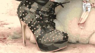 Teddy under High Heels