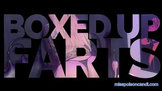 Boxed Up Farts