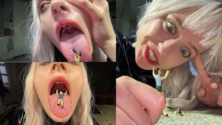 Triple Vore Session With Freya