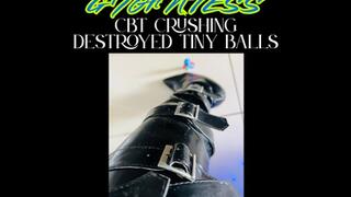 Giantess Destroy Tiny Human's Balls By Trampling - CBT Crushing