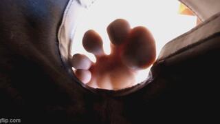 Shrunk by Crazy Cassandra VR4K