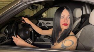 Evelyn felony traffic stop