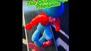 The Shrinking Ray Programme - Shrinking Mesmerize