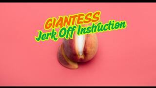 Giantess JOI - Tiny Gets Jerk Off Instruction