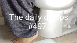 The daily dumps #497 mp4