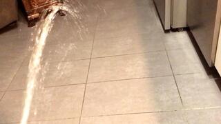 Peeing All Over My House - POV Piss Compilation #5