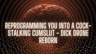 The NLP toolbox: Reprogramming You into a Cock-Stalking Cumslut - Dick Drone Reborn