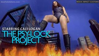 The P5y-Lock Project CL