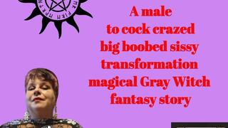 The Enchanted Bridesmaid Dress MP3 only