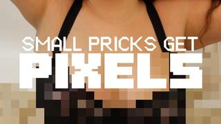 SMALL PRICKS GET PIXELS