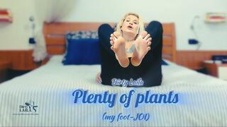 PLANTS OF PLANTS (my foot-JOI)