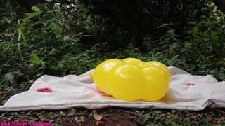 Balões na floresta 2