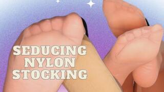 Petite shows off her sexy nylon feet