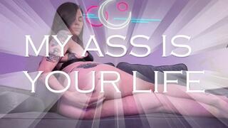 My Ass Is Your Life