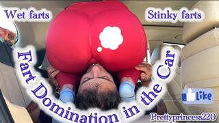 Fart Domination in the Car