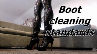 Boot cleaning standards