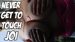 Never Get To Touch JOI