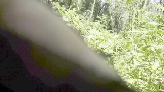 Mesmeriza_26_01_MOV_CINEMA_CLIP_359_356_20240815134026049