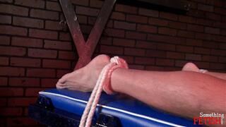 Mistress K - Caning that ass! - WMV