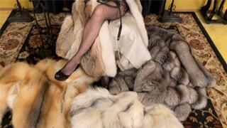 Cruella Vs Robinhood (SD)