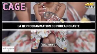 La reprogrammation du puceau chaste 4K