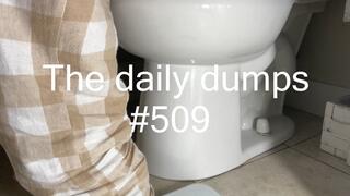 The daily dumps #509 mp4