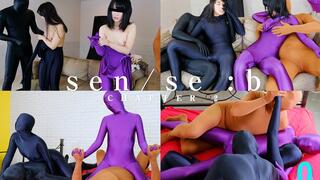 sen se :b (Chapter2)