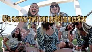 GEA DOMINA - WE SERVE YOUR GOLDEN NECTAR