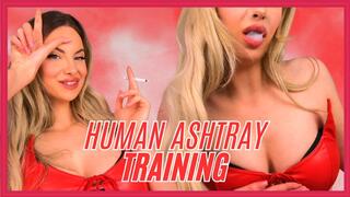 480WMV Human Ashtray Training