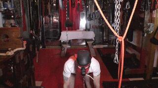 Puppy play and sneackers fetish WMV