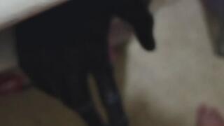 Playing with myself so hot , i handjob a dildo while i touch myself