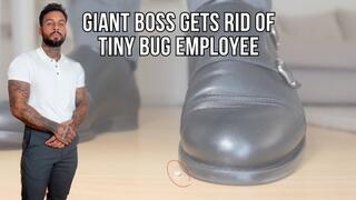 Giant boss gets rid of tiny bug employee - Lalo Cortez