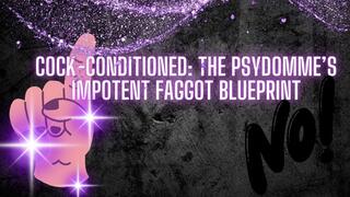 The NLP toolbox: Cock-Conditioned - The PsyDomme’s Impotent Faggot Blueprint
