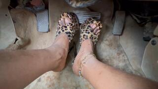 Rapidly Descending And PANIC With Faulty Brakes!