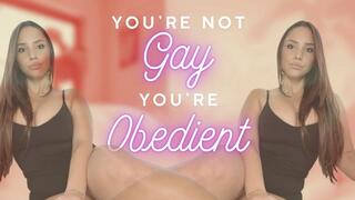 You're Not Gay—You're Obedient