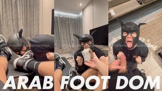 Arab Master Trains Human Puppy to Play Fetch