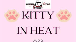 kitty in heat arousing mind take-over audio