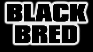 Black Bred