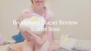 Beddybyes Diaper Review
