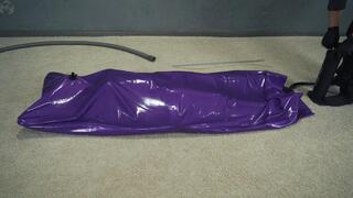 Purple vacuum bed with inflatable mattress and inflatable pear gag