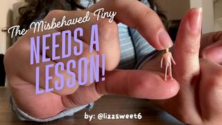 Misbehaved Tiny Needs a Lesson