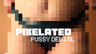 PIXELATED PUSSY DENIAL
