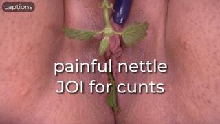 painful nettle JOI for cunts