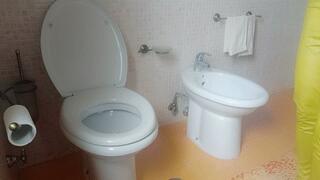 stepsis leave her yellow leather pant and