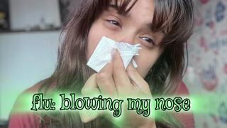 Flu: blowing my nose