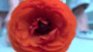 I crush the buttercup with silver shoes cc