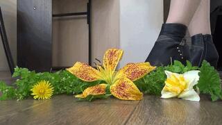 TOE TAPPING AND CRUSH FLOWERs 4Wsh
